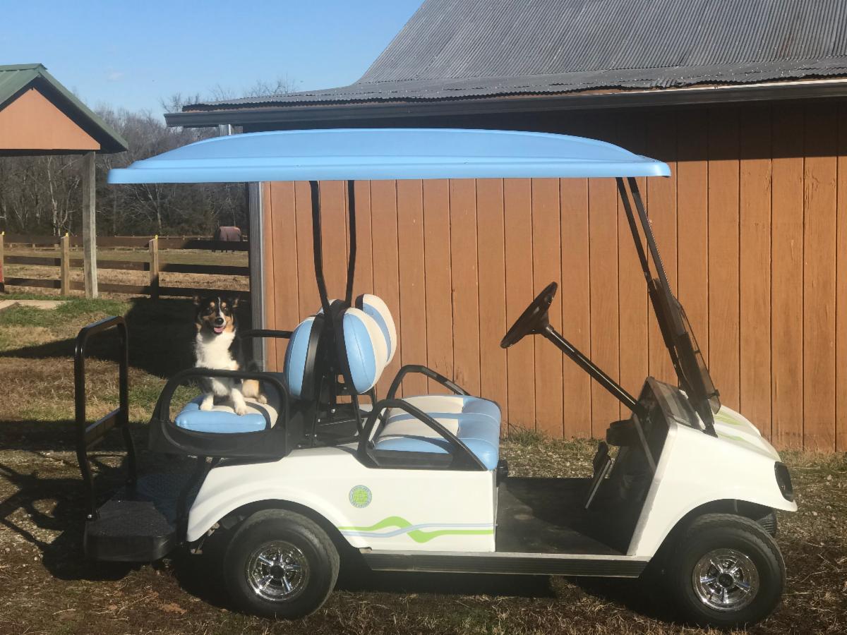 Golf Car with dog