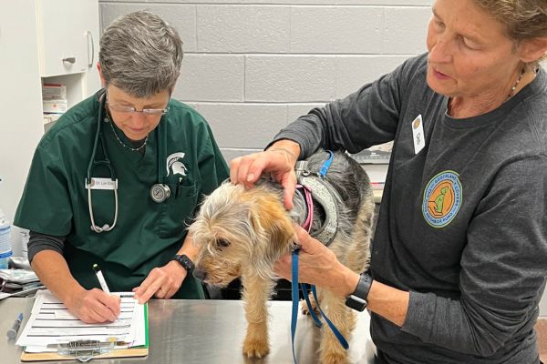 Dr. Lori Elliott seeing a patient at the Good Neighbor Outreach Clinic